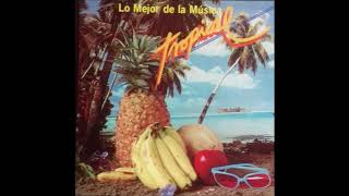 LO MEJOR DE LA MUSICA TROPICAL DEL AÑO 1988 TE ACUERDAS DE ESTAS