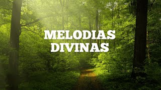 Musica para orar a Solas con Dios / Anhelo conocerte