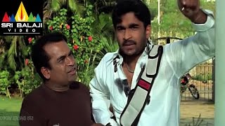 Pallakilo Pellikuthuru Movie Brahmanandam Comedy | Gowtham, Rathi | Sri Balaji Video