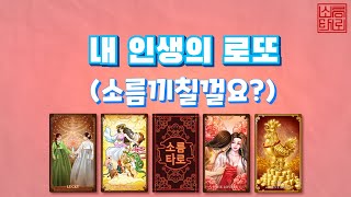 [타로/타로점]내 인생 로또는??