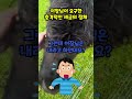 5천만원 들여 귀촌한 청년 시골 민박 이장님이 요구한 충격적인 세금 shorts