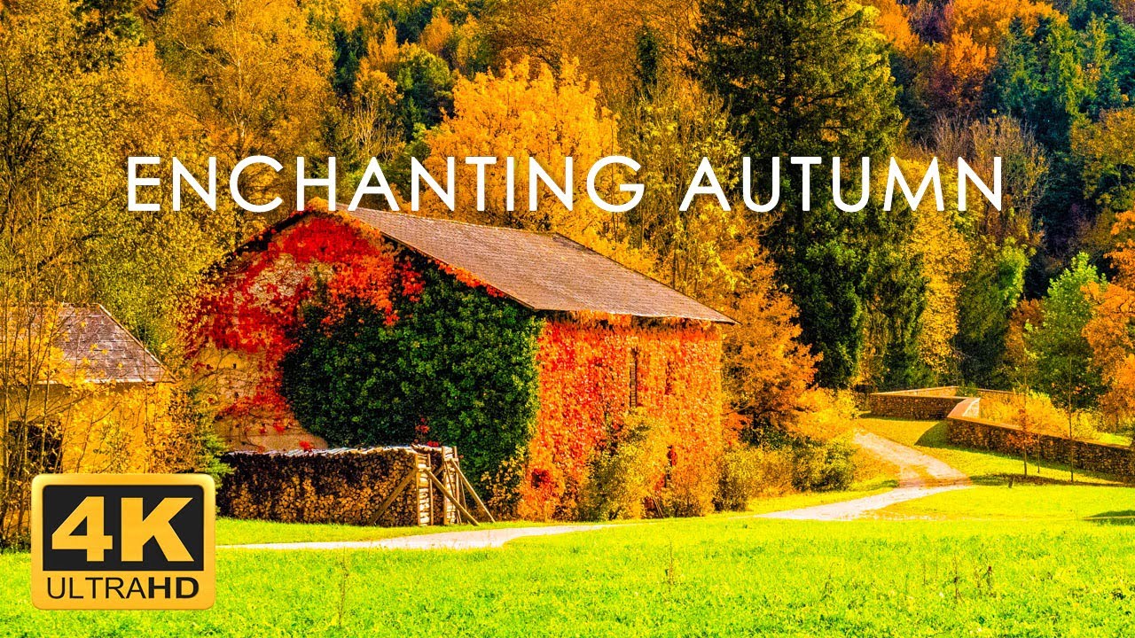 11 Hrs Incredible Fall Foliage Best 4k Autumn Nature Scenes From