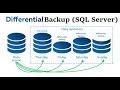 How to take Differential Backup in SQL Server| Step by Step Guidelines