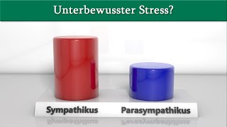 Wie unterbewusster Stress diagnostiziert und gemindert werden kann | Dr. med. Dirk Wiechert