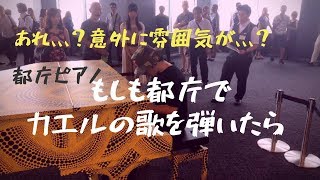 【都庁ピアノ】カエルの歌を弾いたら都庁がコンサート状態に！？【感動注意】