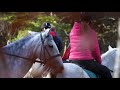 horseback riding near lake bled in slovenia triglav national park