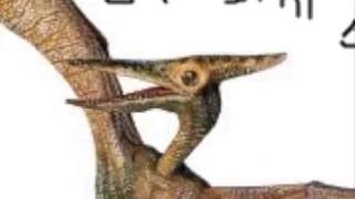 What the Pterodactyl ACTUALLY sounded like.