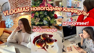 ВЛОГМАС: Новогодние Каникулы, Мой День // Новогодний шоппинг ❄️