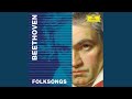 Beethoven: 23 Songs of Various Nationalities, WoO 158a - 12. Seus lindos olhos