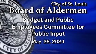 Budget & Public Employees  Committee for Public Input