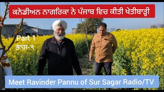 Canada ਤੋਂ ਵਾਪਿਸ ਆਕੇ ਪੰਜਾਬ 'ਚ ਕਿਵੇਂ ਕਰੇ ਖੇਤੀ l Canadian ਵਿਅਕਤੀ ਵੱਲੋ ਖੁਲਾਸਾ l Ravinder Pannu Part 1