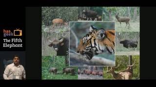 Dr. Arjun Gopalaswamy – What do ML and high perf computing have to do with big cats in the wild?