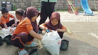 Serunya menanam pohon cabai bersama ayah mas Hafizh kelompok B #petanicilik #ayahdananak #tkpertiwi