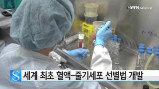 세계 최초 혈액-줄기세포 분화능력 조절 기술 개발 / YTN 사이언스