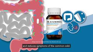 Probiotics + Immune Defence Supplement by Blackmores