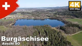 Burgäschisee,  Aeschi SO, Switzerland | 4K UHD 60fps