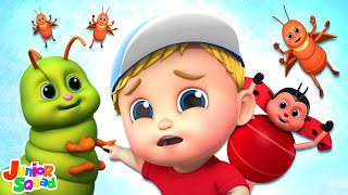 Bugs Bugs Bugs Song, Creepy Crawly Insects and Kids Rhymes