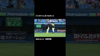 つば九郎とハリーホークの謎のダンス #shorts