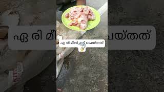 ഇതാണ് മക്കളെ ലോകത്തിലെ ഏറ്റവും നല്ല മീൻ 👌# jandaksh # yt shorts# fish cutting👍viral fishing #funny🥰