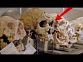 15 Recent Archaeological Discoveries That Forced Scientists to Rewrite Human Timelines