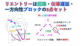 心電図：暗記からの卒業 75話 リエントリー