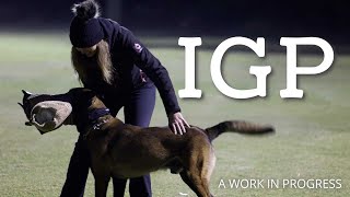 What is IGP?