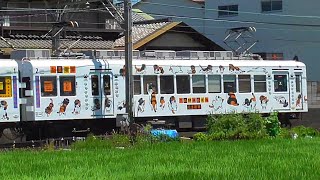 【和歌山電鐵】たま電車　貴志川線貴志駅行き