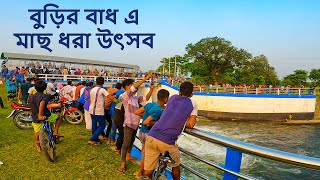 ঠাকুরগাঁওয়ের বুড়ির বাধে শুরু হইছে মাছ ধরা উৎসব।Traditional Fishing Festival In Bangladesh|BURIBADH