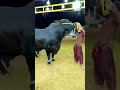 Heavy Bull In Karachi Cow Mandi | Funny Cow Videos | Mandi Video | CowVideos #FQvideos #Short