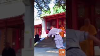 Shaolin Kungfu