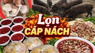 Mổ Lợn Cắp Nách Làm Lòng Sốt Tiết Canh Cực Hấp Dẫn | Ẩm Thực Tuyên Quang