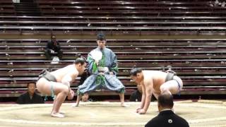 Sazanami (1-1) - Hokuseikai (2-0) , Sumo : Natsubasho '17