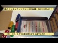 夢のトッキュウレッシャーbox開封動画　当りました（毎月100名抽選分）