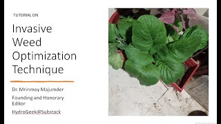 Invasive Weed Optimization Technique #algorithm #tutorials #optimizationtechniques