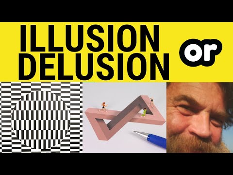 What is a synonym for delusion?