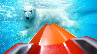 🏁 HOT WHEELS POV POOL DAY!!! GoPro