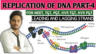 Leading strand I lagging strand I Okazaki fragment I RNA Primer