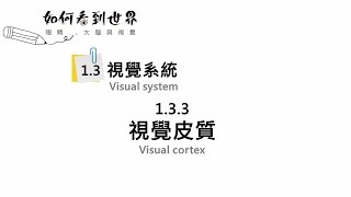 1.3.3 視覺皮質