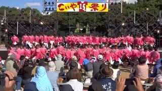 龍谷大学　華舞龍　こいや祭り2014　メイン