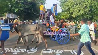 கடலாடி பவுனை அள்ள பவர் குறையாத திருப்பு - விறுவிறுப்பான கொடி களம்@vilasalnews