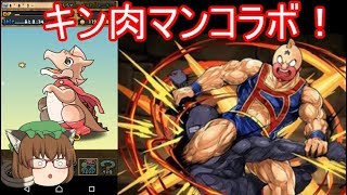 【パズドラ】キン肉マンコラボ再来！！ソルジャーたちが欲しい！！【ゆっくり実況プレイ】