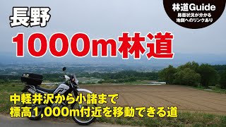 【長野】1000メートル林道〜標高1,000m付近を移動する道（中軽井沢〜小諸）