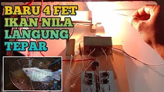 CARA BIKIN PAC PAKE MOSFET LANGSUNG TES DI IKAN NILA.