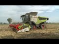 claas lexion 7700 full optional gruppo pea raccolta grano 2024