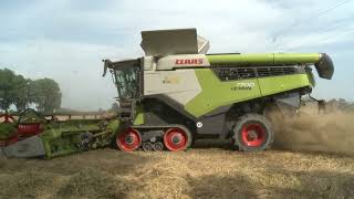 Claas Lexion 7700 full optional gruppo Pea raccolta grano 2024