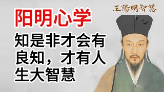 阳明心学：知是非才会有良知，才有人生大智慧！#王阳明 #王阳明心学 #王阳明知行合一 #王阳明台湾 #王阳明传习录 #王阳明全集 #王阳明心学智慧 #王阳明心学精髓 #良知 #道德修养#社会责任