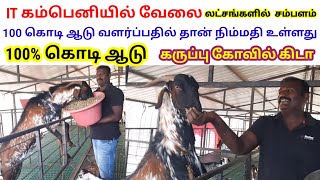 IT கம்பெனியில் லட்சங்களில் சம்பளம் / ஆனாலும் 100 கொடி ஆடு வளர்ப்பதில் தான் மன நிம்மதி உள்ளது 100%