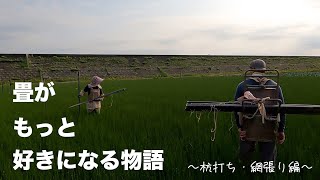 【畳作り】産地礼賛〜い草のお便り