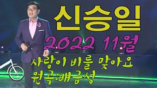 가수-신승일[사랑이 비를맞아요/원곡:배금성]가요투데이 11월녹화