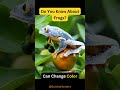 Mind-Blowing Facts About Frogs 🐸 #shorts #Frogs #FrogFacts #trending #viral